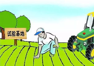 街头小店做什么生意好赚钱？深入探索行业潜力与盈利之道