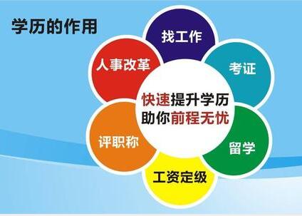 2023年度干洗适用地毯品牌排行榜揭晓！