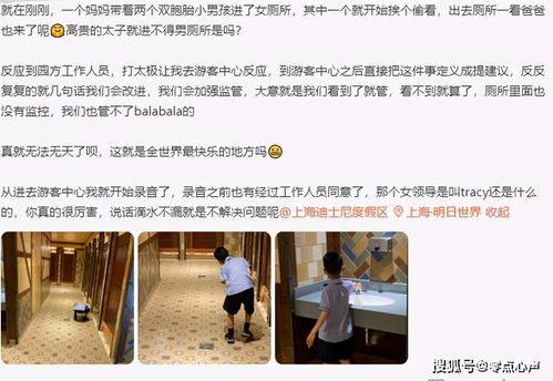 揭秘花呗小额套出并秒到的真相，操作指南与案例分析