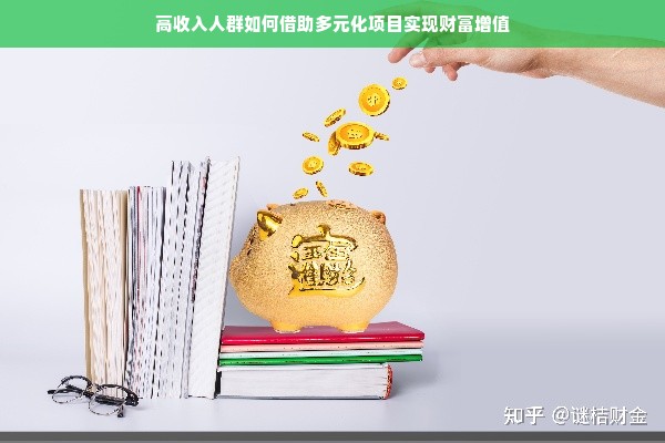 高收入人群如何借助多元化项目实现财富增值