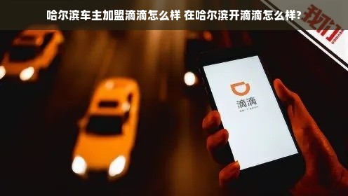 哈尔滨车主加盟滴滴怎么样 在哈尔滨开滴滴怎么样?