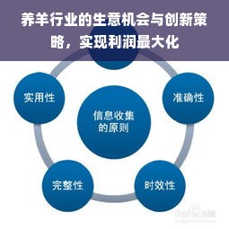 京东白条额度如何套出来？一文说清套白条的那些事儿