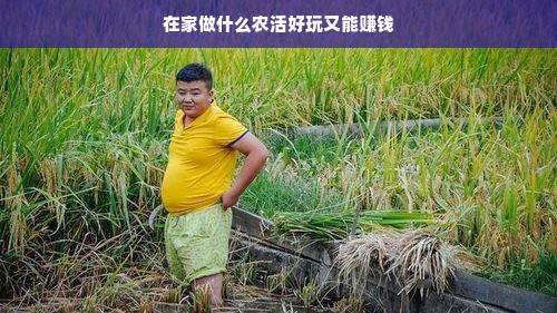 在家做什么农活好玩又能赚钱