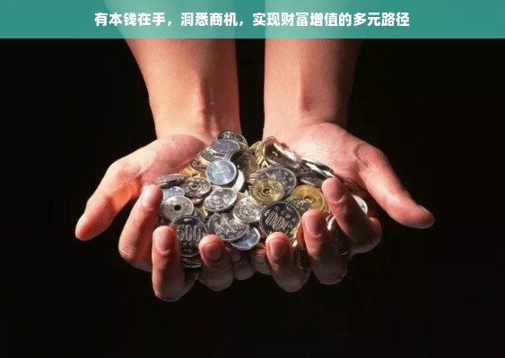 有本钱在手，洞悉商机，实现财富增值的多元路径