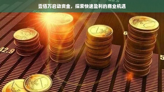 壹佰万启动资金，探索快速盈利的商业机遇