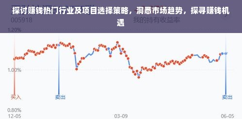 探讨赚钱热门行业及项目选择策略，洞悉市场趋势，探寻赚钱机遇