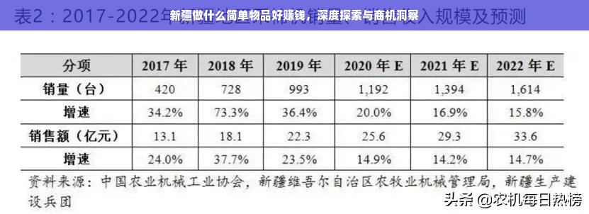 新疆做什么简单物品好赚钱，深度探索与商机洞察