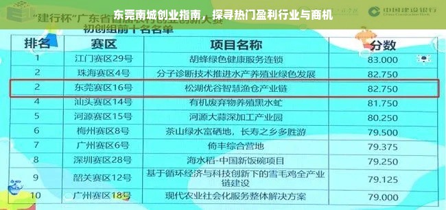 东莞南城创业指南，探寻热门盈利行业与商机