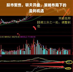 淘宝先用后付额度兑现，为什么用了反而扣额度了？