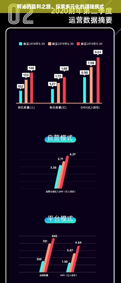 阿沁的盈利之路，探索多元化的赚钱模式