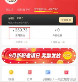 探索白条和借呗提现的可能性