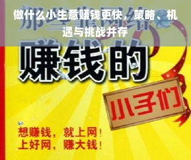 做什么小生意赚钱更快，策略、机遇与挑战并存