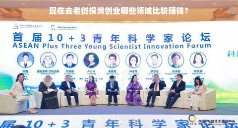 现在去老挝投资创业哪些领域比较赚钱？