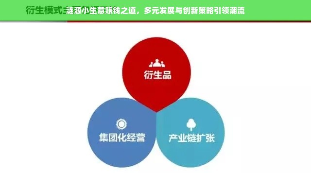 涟源小生意赚钱之道，多元发展与创新策略引领潮流