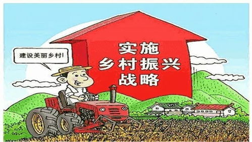 桃多多桃享卡额度提现全解析，额度上限与使用指南