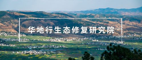 十大干洗店品牌女装折扣盘点，品质与实惠的完美结合