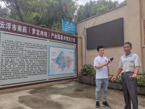 装修板材品牌选购全攻略，这10个品牌口碑和性能都不错