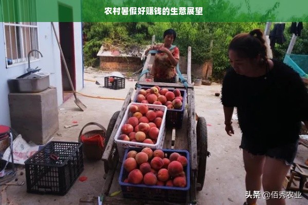 农村暑假好赚钱的生意展望
