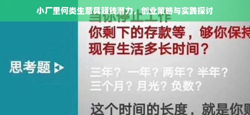 小厂里何类生意具赚钱潜力，创业策略与实践探讨