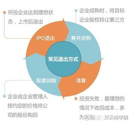 江苏茶叶招商品牌，绿色茶香，财富共赢之道
