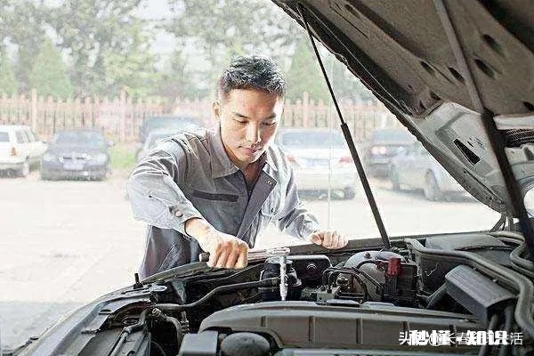 陕西白酒江湖风云录，十大品牌背后的故事与选择指南