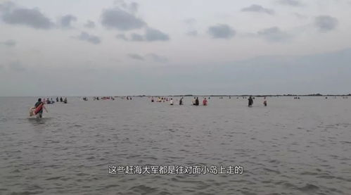 进口母婴店品牌深度解析