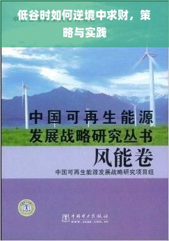 低谷时如何逆境中求财，策略与实践