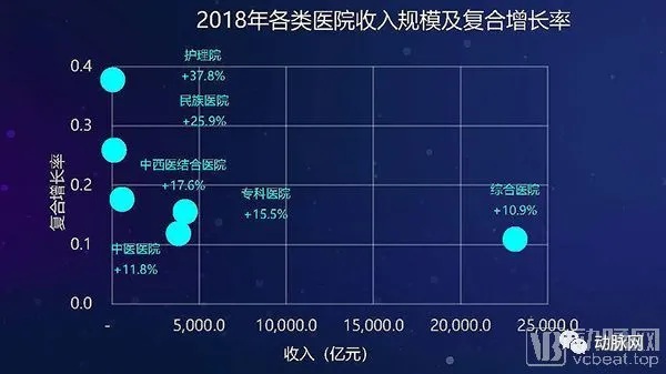 兽医在其他行业的多元发展与收入增长点分析