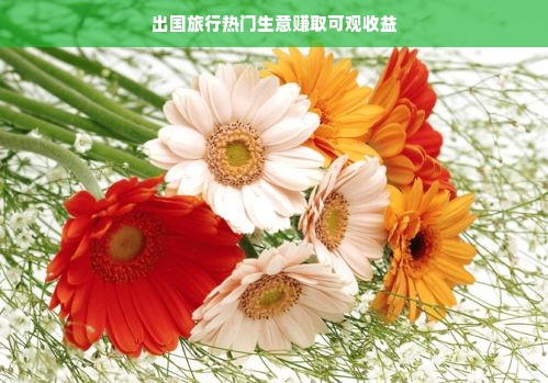 出国旅行热门生意赚取可观收益