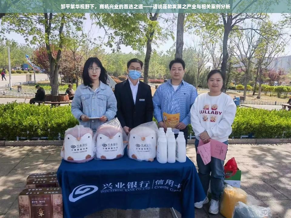 邹平繁华视野下，商机兴业的首选之道——话说蓬勃发展之产业与相关案例分析