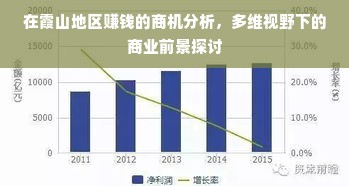 在霞山地区赚钱的商机分析，多维视野下的商业前景探讨