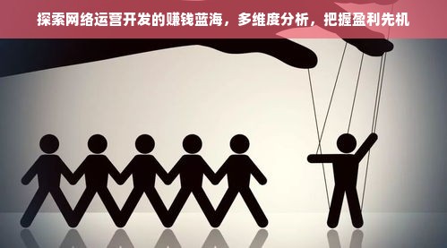 探索网络运营开发的赚钱蓝海，多维度分析，把握盈利先机