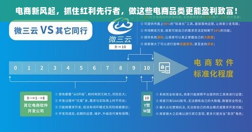 电商新风起，抓住红利先行者，做这些电商品类更能盈利致富！