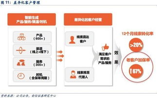 代理公司赚钱策略，精准策划引领盈利之路