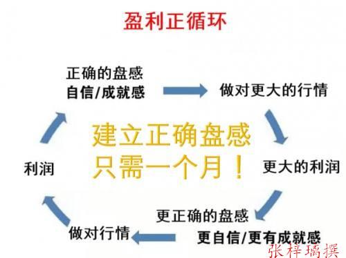 代理公司赚钱策略，精准策划引领盈利之路