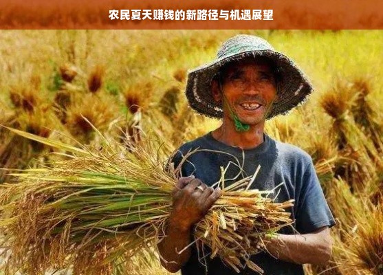 农民夏天赚钱的新路径与机遇展望