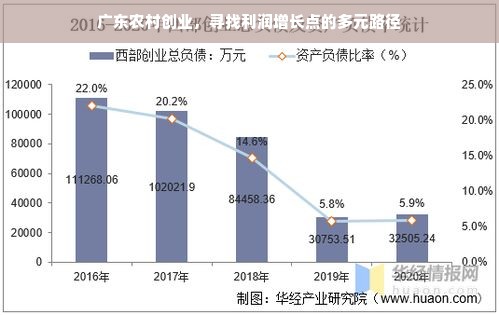 广东农村创业，寻找利润增长点的多元路径