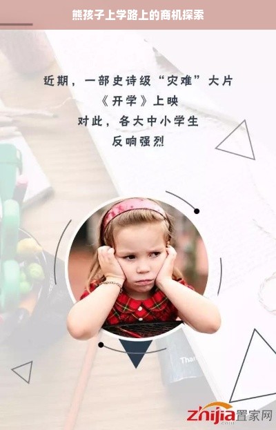 京东白条使用指南，额度管理篇