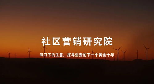 盘点热门舞蹈瑜伽套装品牌，让你轻松打造健康生活！