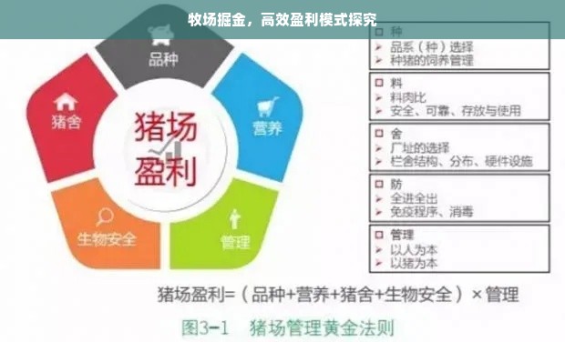京东白条额度如何套现？