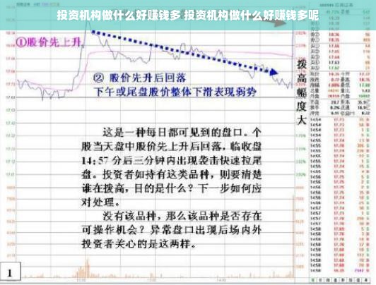 投资机构做什么好赚钱多 投资机构做什么好赚钱多呢