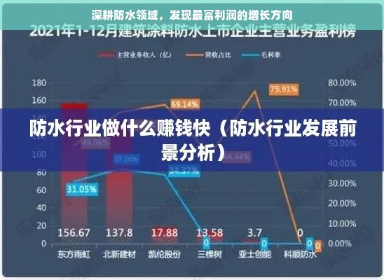 深耕防水领域，发现最富利润的增长方向