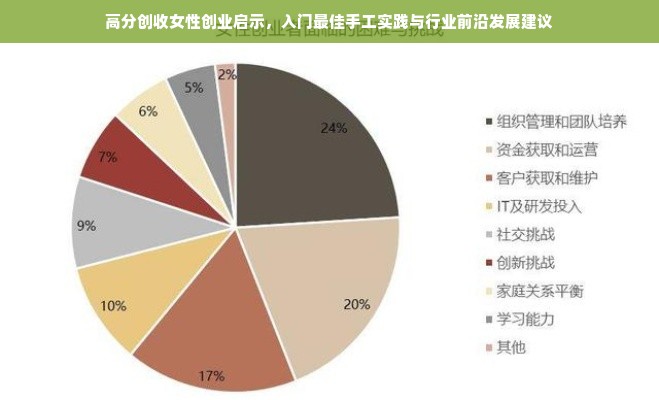 高分创收女性创业启示，入门最佳手工实践与行业前沿发展建议