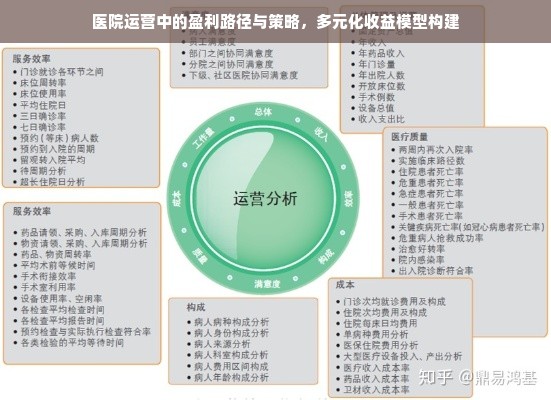 医院运营中的盈利路径与策略，多元化收益模型构建