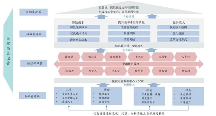 医院运营中的盈利路径与策略，多元化收益模型构建