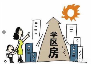 羊小咩便荔卡额度提现与查询攻略，轻松掌握可用额度