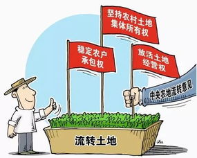 揭秘京东白条，额度提升攻略与临时额度详解