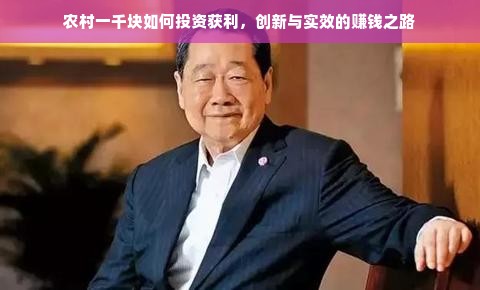 农村一千块如何投资获利，创新与实效的赚钱之路