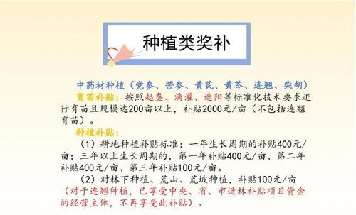 进口母婴加盟品牌，共创母婴事业新篇章