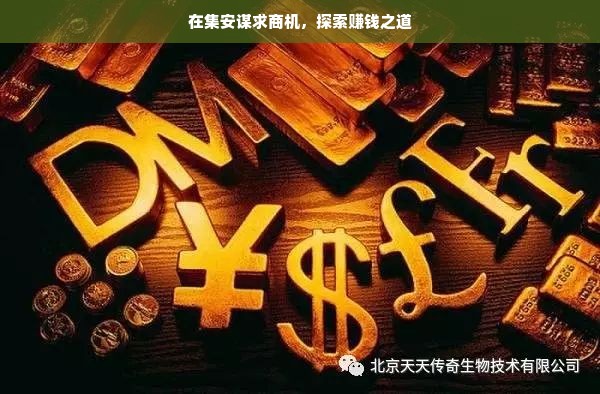 在集安谋求商机，探索赚钱之道